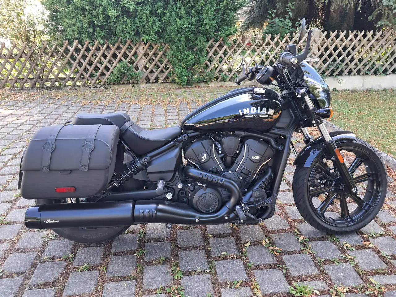 Indian Sport Scout