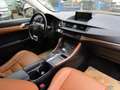 Lexus CT 200h Executive Grau - thumbnail 9