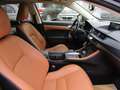 Lexus CT 200h Executive Grau - thumbnail 8