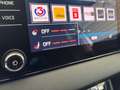 Skoda Karoq 4x4 Style TDI DSG Braun - thumbnail 16