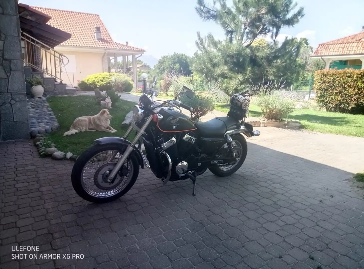 Honda VT 750 Black - 2