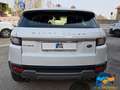 Land Rover Range Rover Evoque 2.0 TD4 150 CV 5p. HSE Blanc - thumbnail 5