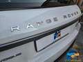 Land Rover Range Rover Evoque 2.0 TD4 150 CV 5p. HSE Weiß - thumbnail 33