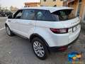 Land Rover Range Rover Evoque 2.0 TD4 150 CV 5p. HSE Weiß - thumbnail 6