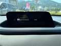Mazda CX-30 G122 AWD Comfort+ *servicegepflegt* Rosso - thumbnail 13