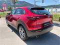 Mazda CX-30 G122 AWD Comfort+ *servicegepflegt* Rosso - thumbnail 6