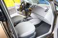 SEAT Ibiza Style Viva Gold - thumbnail 14