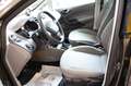 SEAT Ibiza Style Viva Gold - thumbnail 8