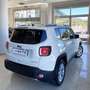 Jeep Renegade Renegade 1.6 Mjt 120 CV Limited Weiß - thumbnail 5