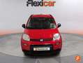 Fiat Panda City Life Hybrid 1.0 Gse 51kw (70CV) Rojo - thumbnail 2