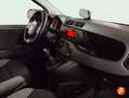 Fiat Panda City Life Hybrid 1.0 Gse 51kw (70CV) Rojo - thumbnail 13