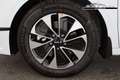Kia Ceed / cee'd SPIN 1.5 T-GDI Edition, Navi, Kamera, Sitzheizu... Blanco - thumbnail 11