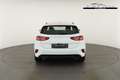 Kia Ceed / cee'd SPIN 1.5 T-GDI Edition, Navi, Kamera, Sitzheizu... Blanco - thumbnail 12