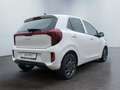 Kia Picanto 1.2 Vision Navi, Kamera, SHZ Weiß - thumbnail 5