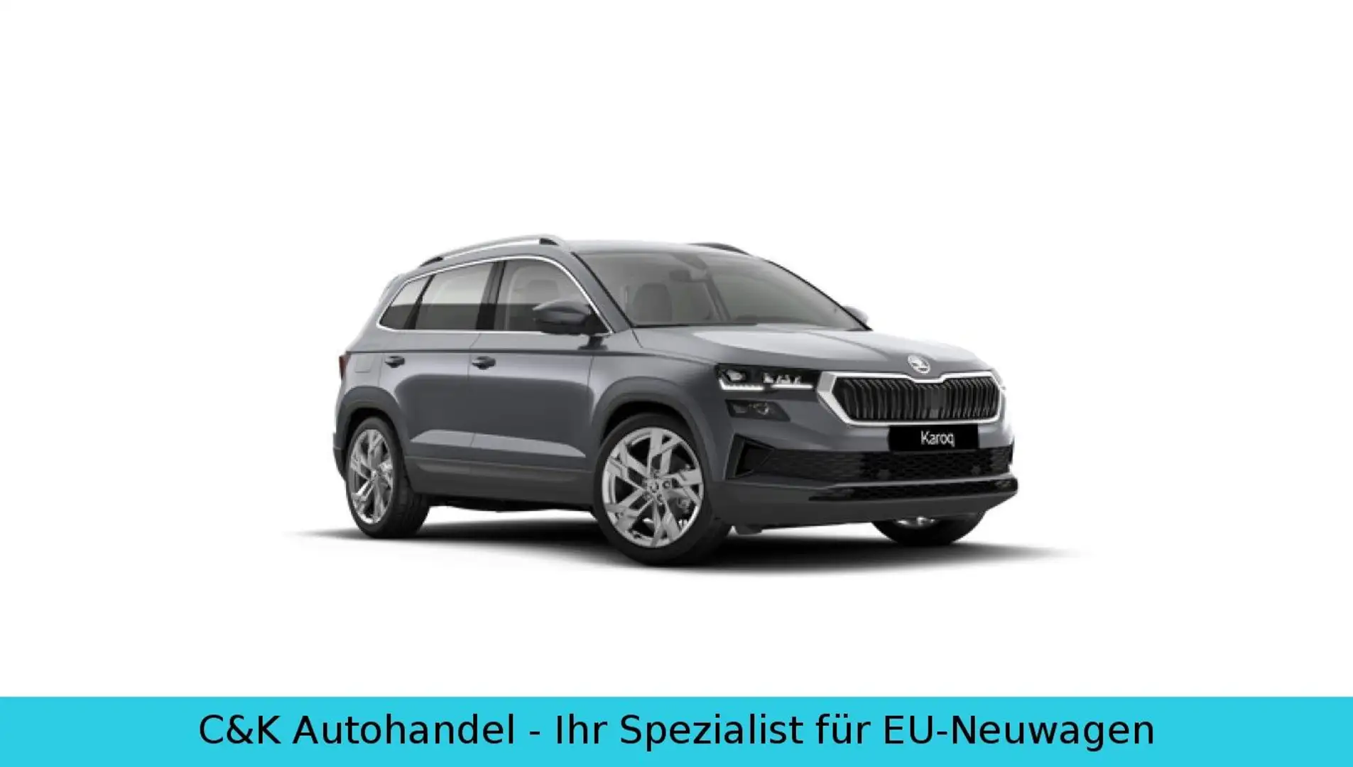 Skoda Karoq 130 Jahre Premium 2.0 TDI 150 PS 7-DSG Grau - 1