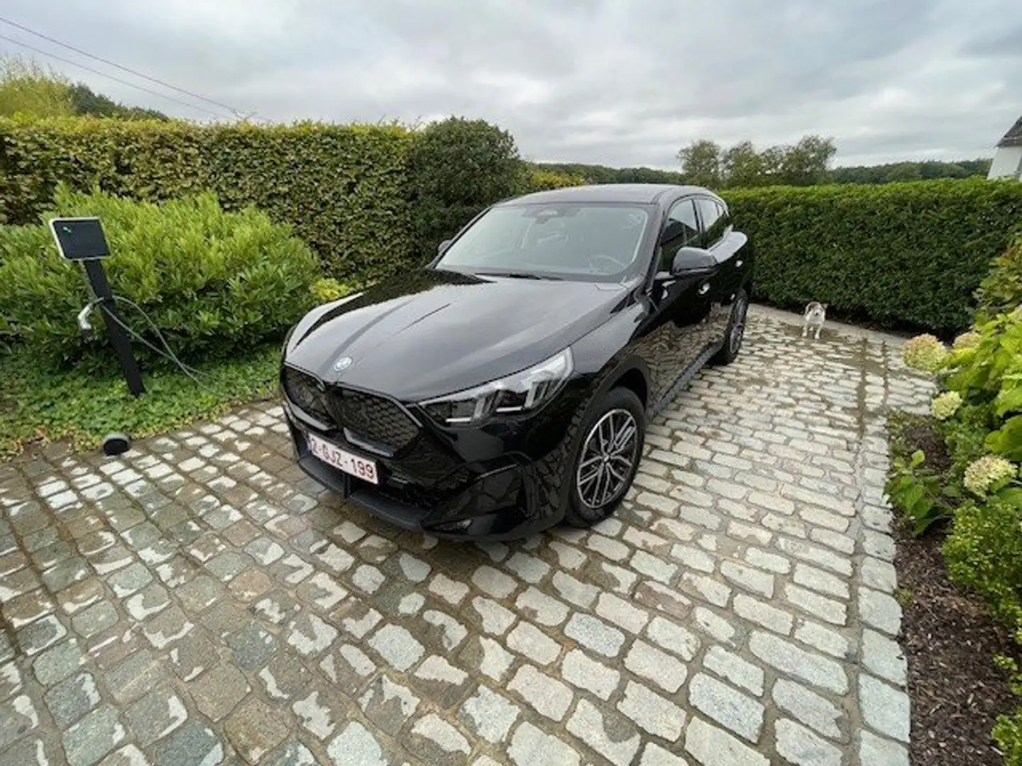 BMW iX2 iX2 eDrive20 Zwart - 1