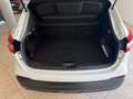 Nissan Qashqai Qashqai II 1.6 dci Business 2wd 130cv xtronic Cam Bianco - thumbnail 14