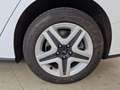 Ford Focus Focus 1.5 EcoBlue 120 CV SW Business Bianco - thumbnail 15