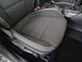 Ford Focus Focus 1.5 EcoBlue 120 CV SW Business Blanco - thumbnail 13