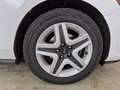 Ford Focus Focus 1.5 EcoBlue 120 CV SW Business Bianco - thumbnail 14