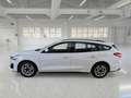 Ford Focus Focus 1.5 EcoBlue 120 CV SW Business Bianco - thumbnail 8