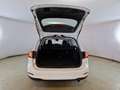 Ford Focus Focus 1.5 EcoBlue 120 CV SW Business Blanco - thumbnail 6
