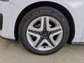Ford Focus Focus 1.5 EcoBlue 120 CV SW Business Blanco - thumbnail 17