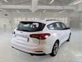 Ford Focus Focus 1.5 EcoBlue 120 CV SW Business Bianco - thumbnail 2