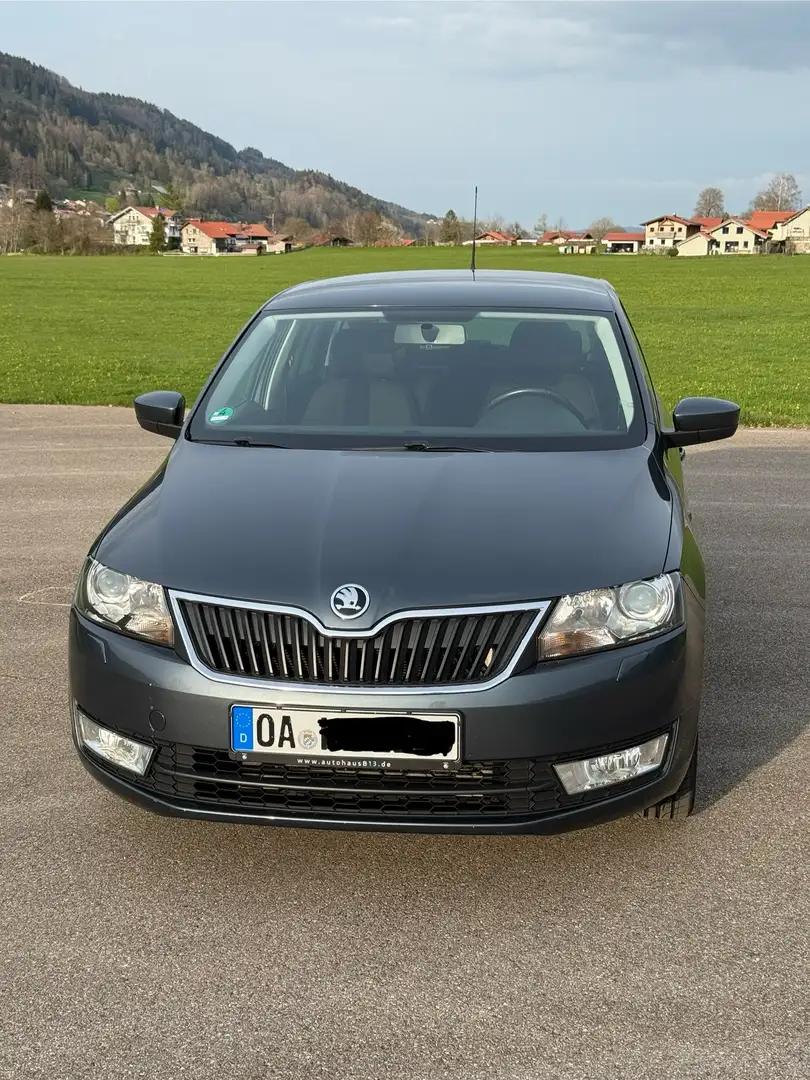 Skoda Rapid/Spaceback Drive Grau - 1