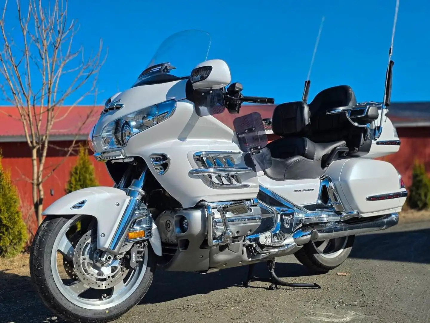 Honda GL 1800 Weiß - 1