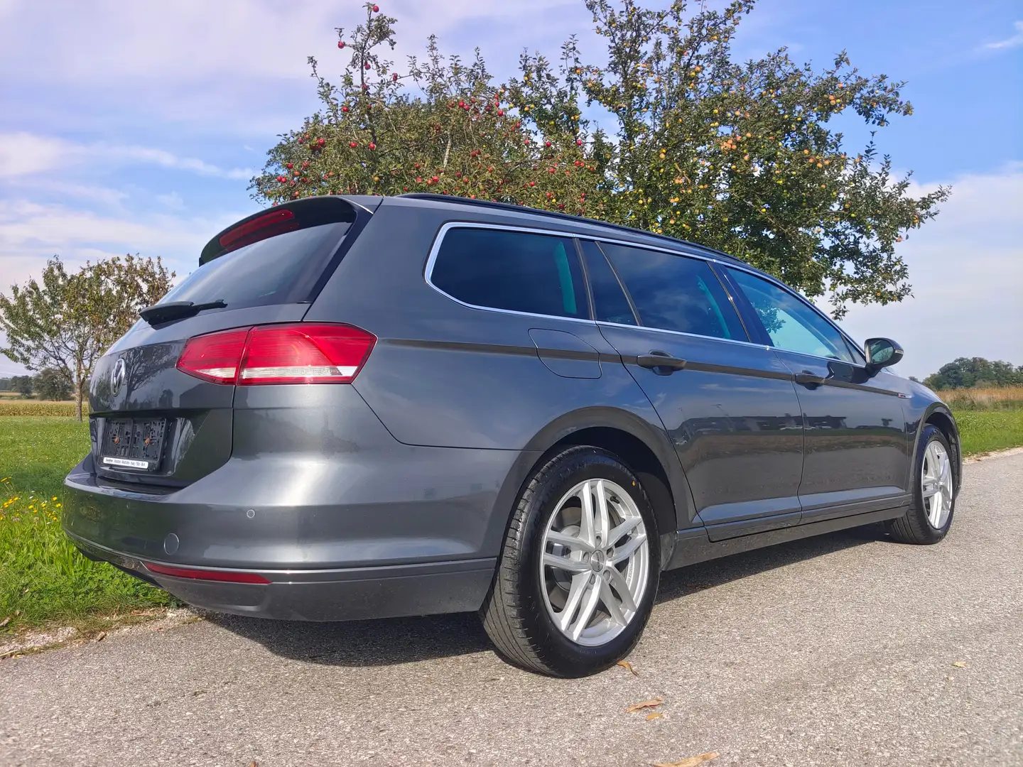 Volkswagen Passat Variant Comfortline BMT/Start-Stopp 4Motion Grau - 2