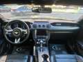 Ford Mustang Convertible 2.3 EcoBoost aut. - 2020 Noir - thumbnail 13