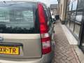 Fiat Panda 1.1 Active , 5 deurs, Zuinig Beige - thumbnail 9