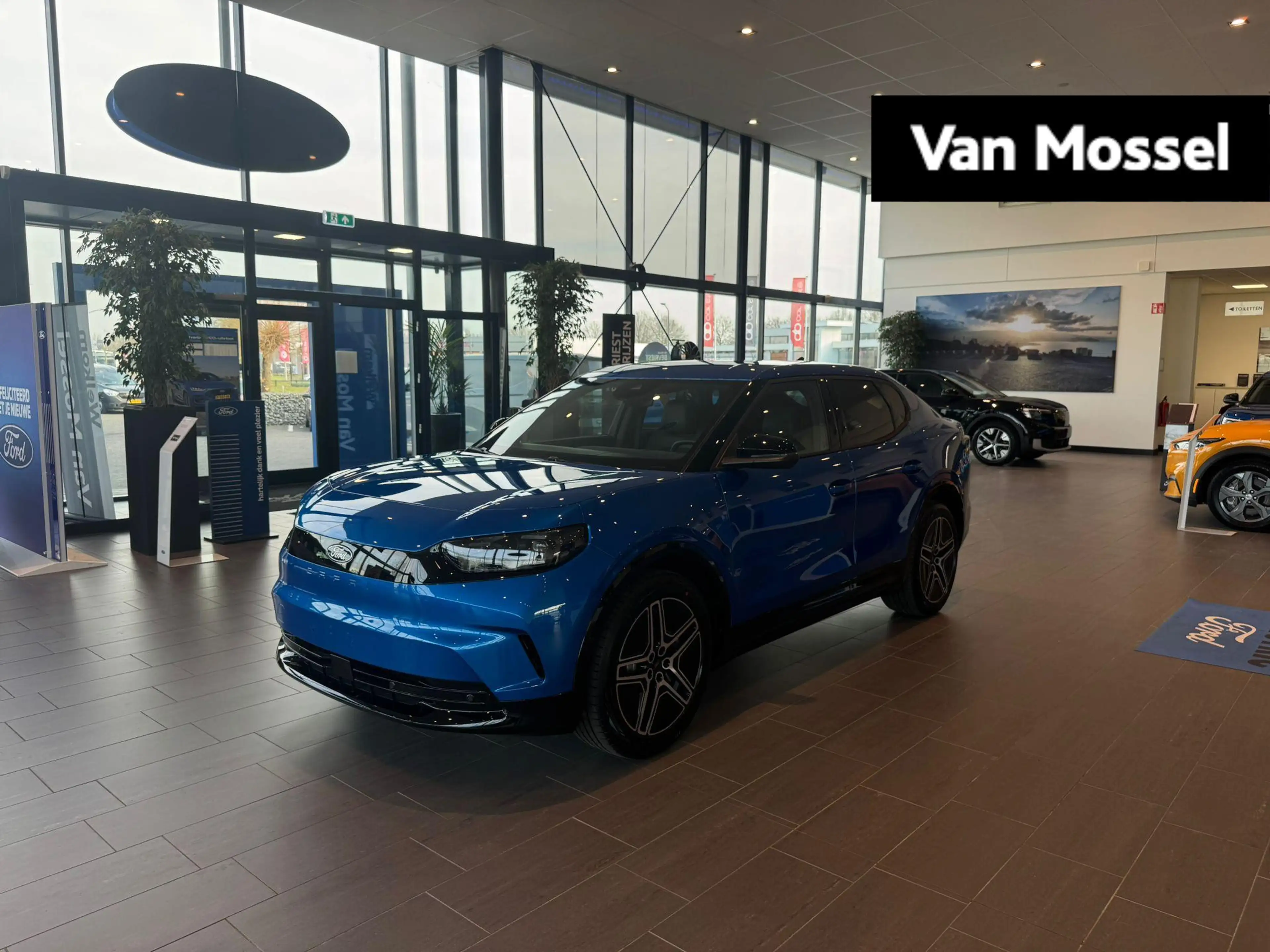 Ford Capri Premium Extended Range RWD 79 kWh | Voorraad! | Ad