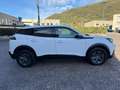 Peugeot 2008 1.2 PURETECH 130CV EAT8 ACTIVE PACK Weiß - thumbnail 4