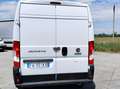 Fiat DUCATO 2.3 120CV L2H2 Weiß - thumbnail 5