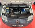 Volkswagen Caddy Maxi Kühlkasten*1.9TDI*Frischedienst* Weiß - thumbnail 15