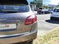 Porsche Cayenne 3.0 V6 D 245 TIPTRONIC Gris - thumbnail 36
