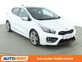 Kia Ceed / cee'd 1.6 TGDI GT-Track*NAVI*XENON*TEMPO*CAM*PDC*SHZ* Weiß - thumbnail 8