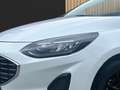 Ford Fiesta Titanium 5-tuerig 1,1 EBoost 75PS M5 Bianco - thumbnail 13