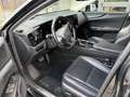 Lexus NX 350h NX Hybrid 4WD Luxury Schwarz - thumbnail 15