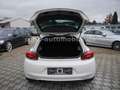 Volkswagen Scirocco 1.4 TSI Match Leder/Xenon/SHZ/19"/SR+WR Blanco - thumbnail 18