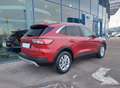 Ford Kuga Titanium X, Autom. Rot - thumbnail 6
