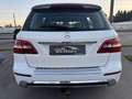 Mercedes-Benz ML 350 BlueTEC 4MATIC Aut. DPF  !! EXPORT / BASTLERFAH... Weiß - thumbnail 10