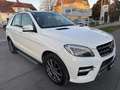 Mercedes-Benz ML 350 BlueTEC 4MATIC Aut. DPF  !! EXPORT / BASTLERFAH... Weiß - thumbnail 7