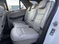 Mercedes-Benz ML 350 BlueTEC 4MATIC Aut. DPF  !! EXPORT / BASTLERFAH... Weiß - thumbnail 17