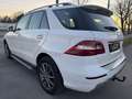 Mercedes-Benz ML 350 BlueTEC 4MATIC Aut. DPF  !! EXPORT / BASTLERFAH... Weiß - thumbnail 11
