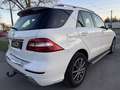 Mercedes-Benz ML 350 BlueTEC 4MATIC Aut. DPF  !! EXPORT / BASTLERFAH... Weiß - thumbnail 8