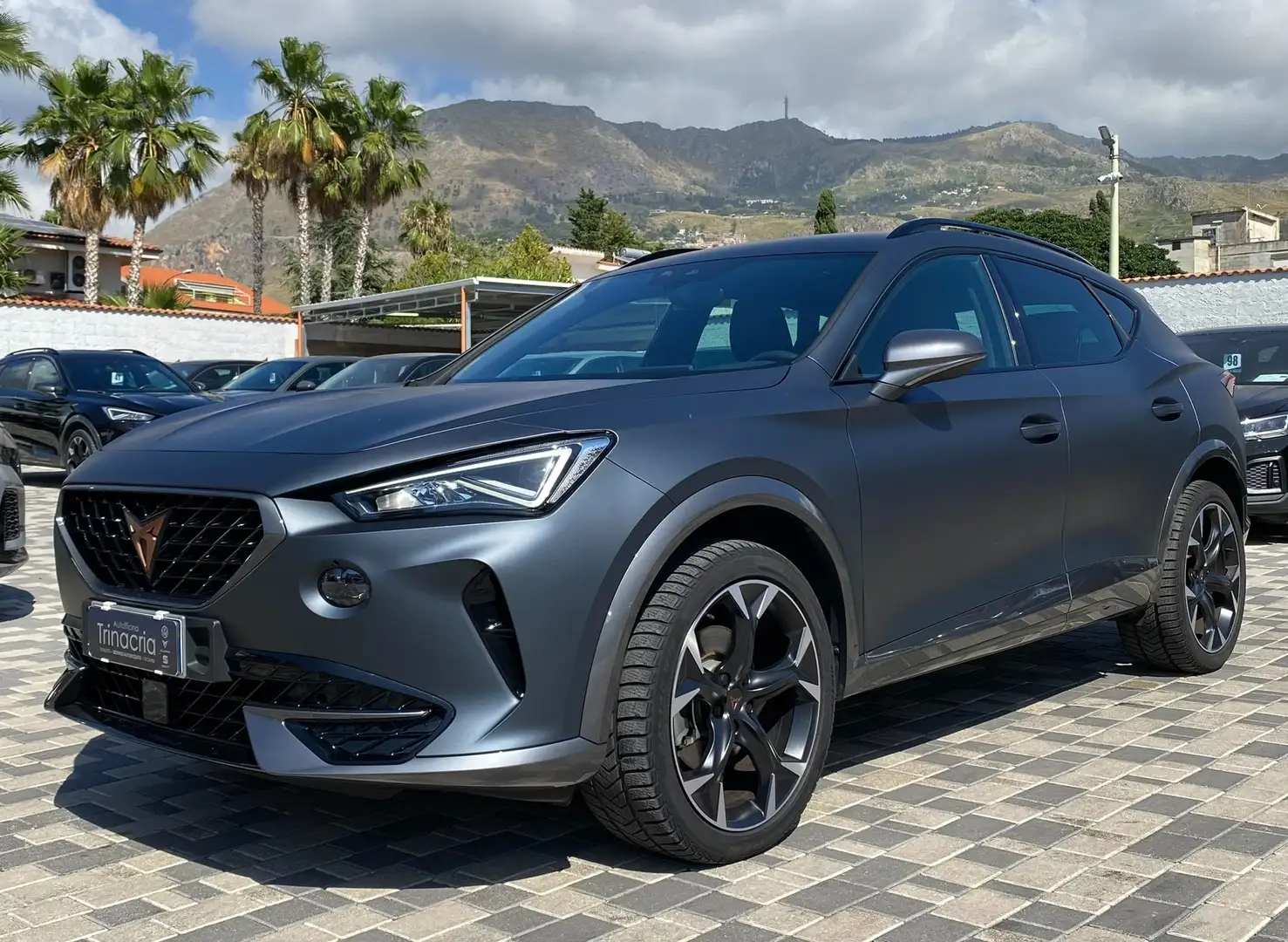 CUPRA Formentor 2.0 TDI 150CV DSG 4drive Grau - 2