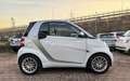 smart forTwo fortwo 800 40 kW coupé pure cdi OK NEOPATENTATI Blanc - thumbnail 4